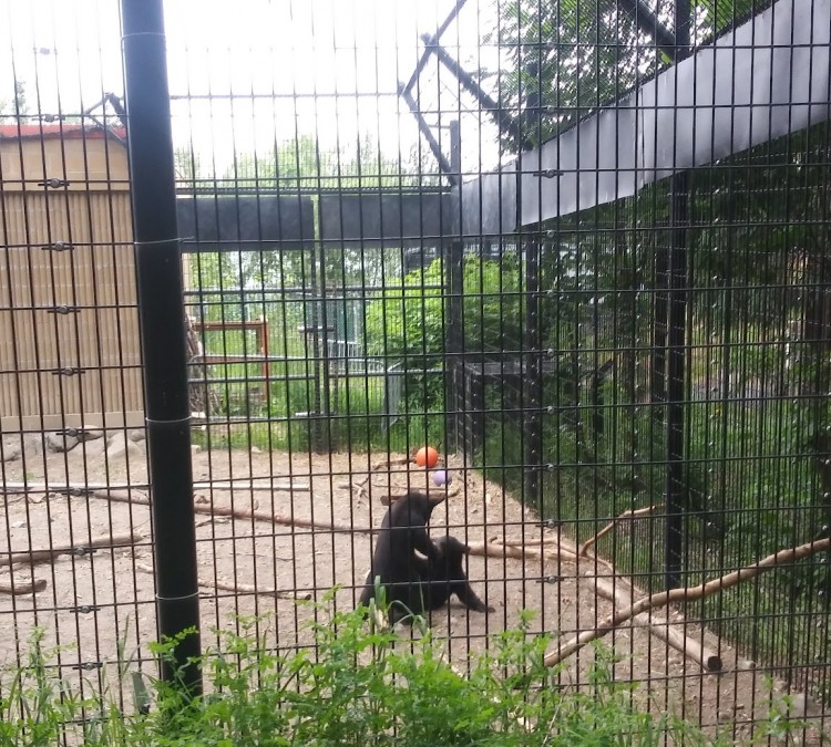 zoo-facilities-photo